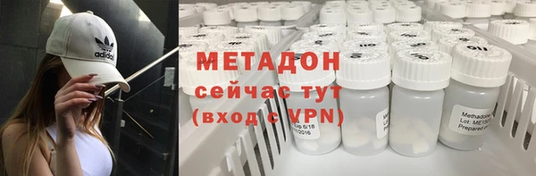 сатива Богданович
