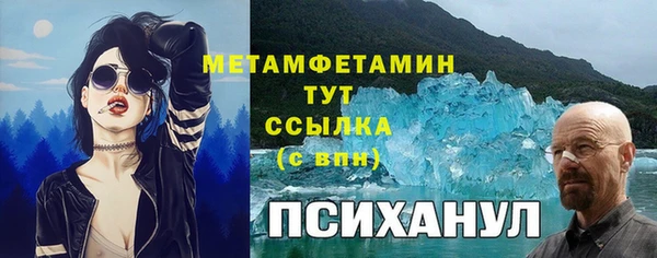 сатива Богданович