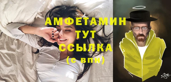 сатива Богданович